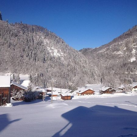 Chalet Narcisse Sixt Zewnętrze zdjęcie