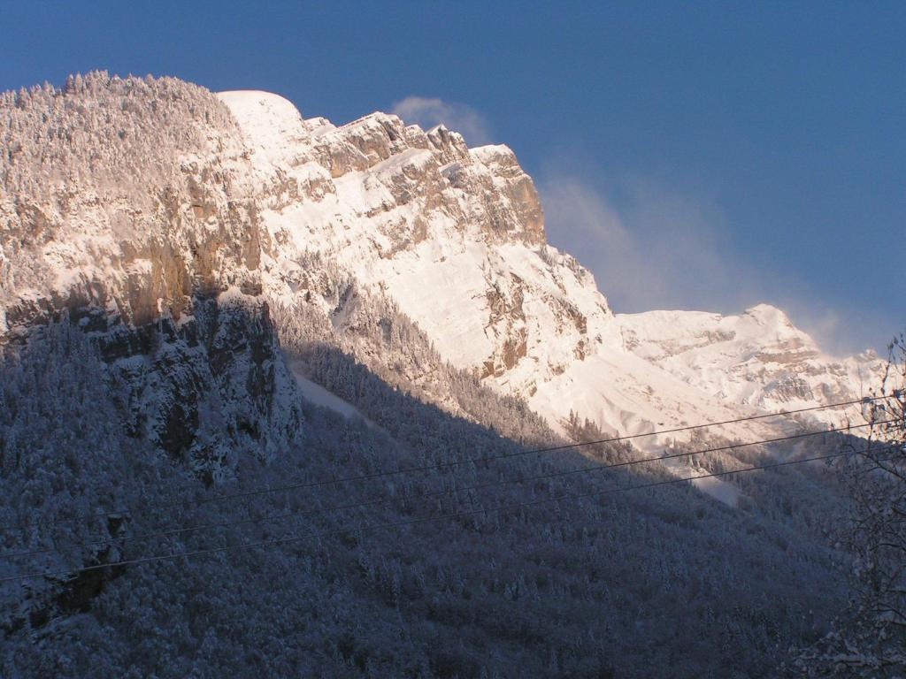 Chalet Narcisse Sixt Pokój zdjęcie